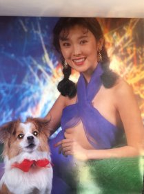 挂历
老挂历
美女挂历
1994年
美女抱狗
全年13张