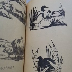 谈绘画 王琦著 1958年10月一版一印