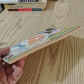 公案奇狱经典传奇故事