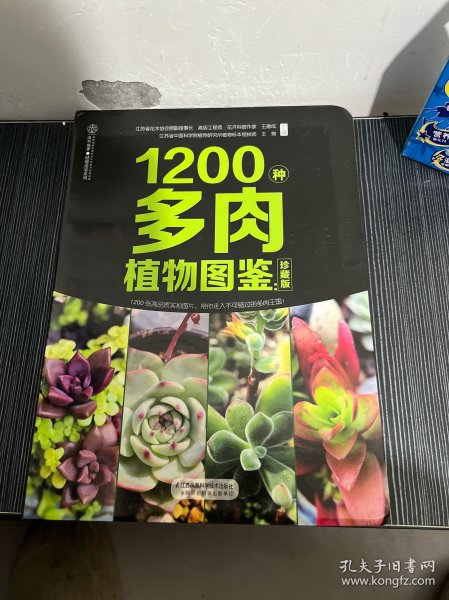 1200种多肉植物图鉴：珍藏版（汉竹）