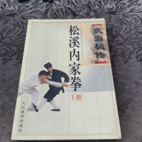 武当秘传松溪内家拳.上册