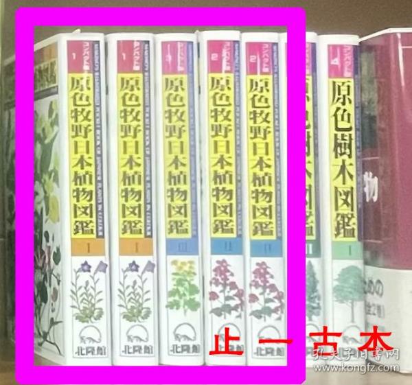 价可议 全三册 亦可散售 原色牧野日本植物图鉴 版 39dqf 原色牧野日本植物図鑑 (コンパクト版) lmm1