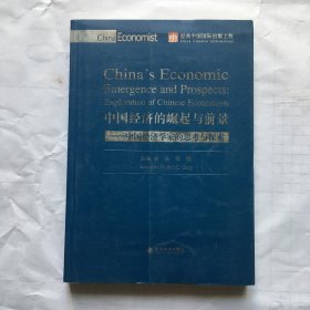 中国经济的崛起与前景：中国经济学家的思考与探索