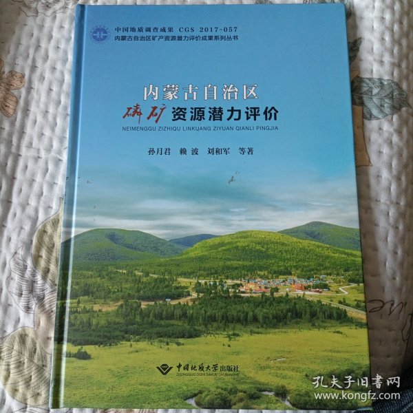 内蒙古自治区磷矿资源潜力评价/内蒙古自治区矿产资源潜力评价成果系列丛书