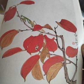 荣宝斋画谱（六十七）康师尧花鸟部分