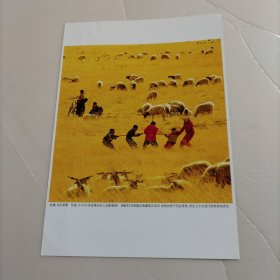 王平艺术摄影：欢乐草原