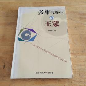 多维视野中的王蒙:第一届王蒙文学创作国际学术研讨会论文集     一版一印