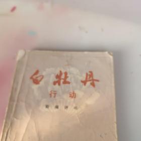 白牡丹行动 新编评书