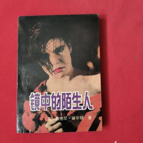 镜中的陌生人