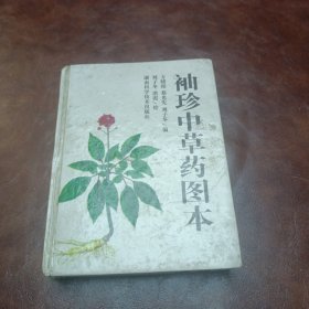 袖珍中草药图本 精装64开1998年一版七印