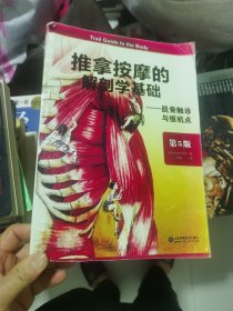 推拿按摩的解剖学基础