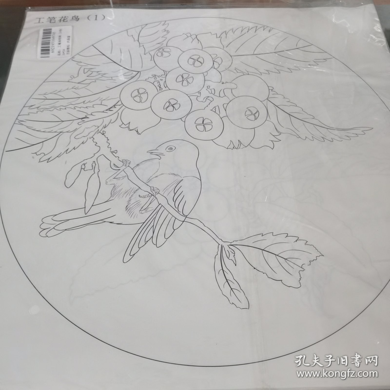 工笔花鸟白描 临摹线稿