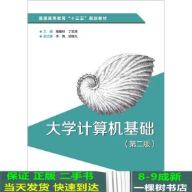 大学计算机基础（第二版）（普通高等教育“十三五”规划教材）