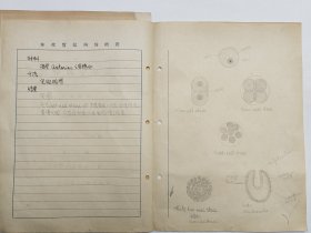 山西医科大学教授 张文忠（1918-1993），民国26年、27年，手稿两份。【中国昆虫学会理事、中国显微与亚显微形态科学会理事、全国高等医学院校教材《人体寄生虫学》第一版编审组委员等】