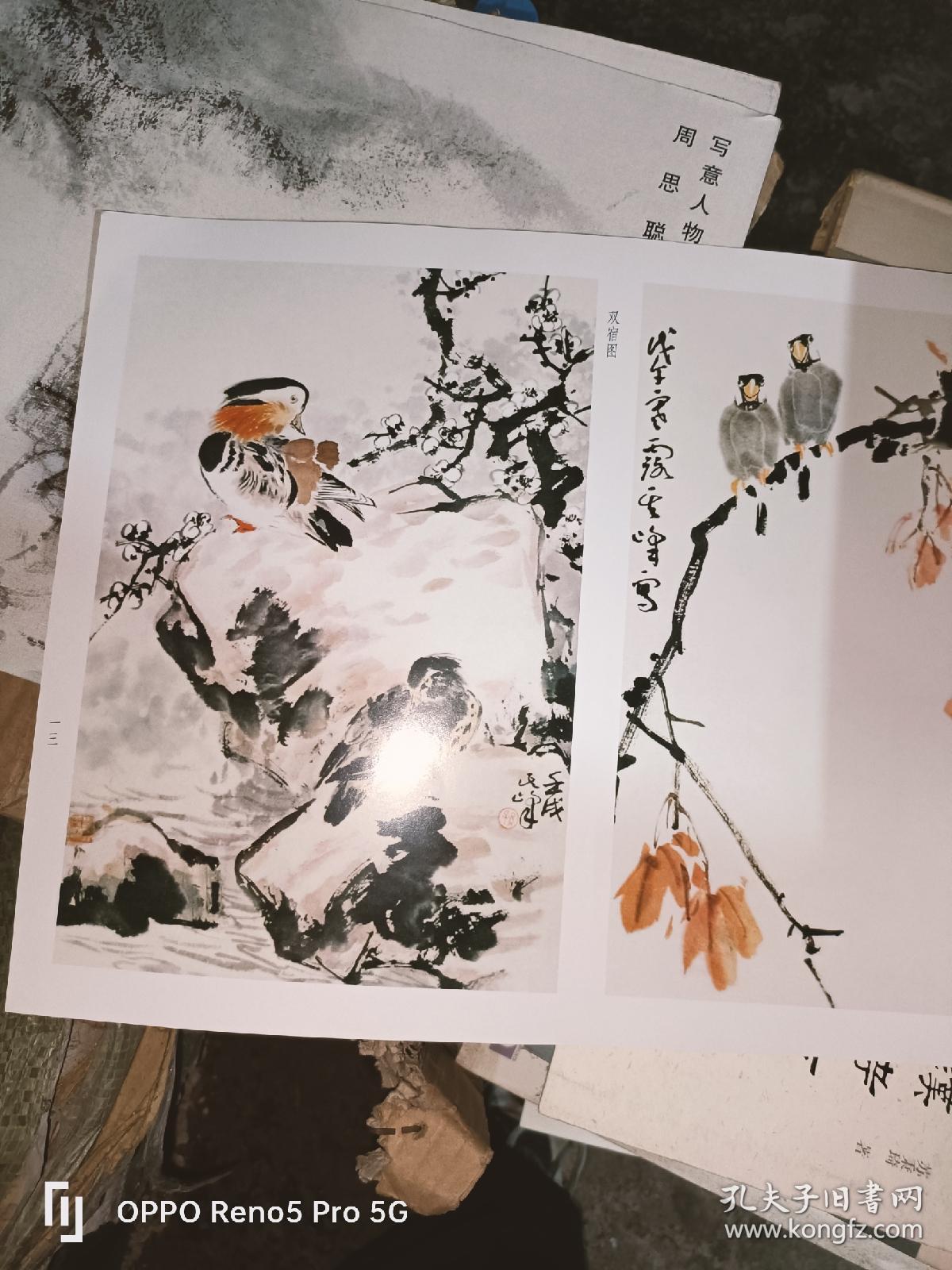 荣宝斋画谱（218）：花鸟部分 孙其峰绘