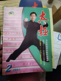 太极2004年【双月刊】第2，3，5期【共3册合售】