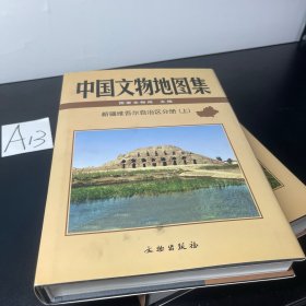 中国文物地图集·新疆维吾尔自治区分册(精)上册