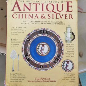 The Bulfinch Anatomy of Antique China and Silver: An Illustr