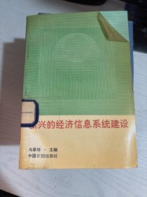 新兴的经济信息系统建设