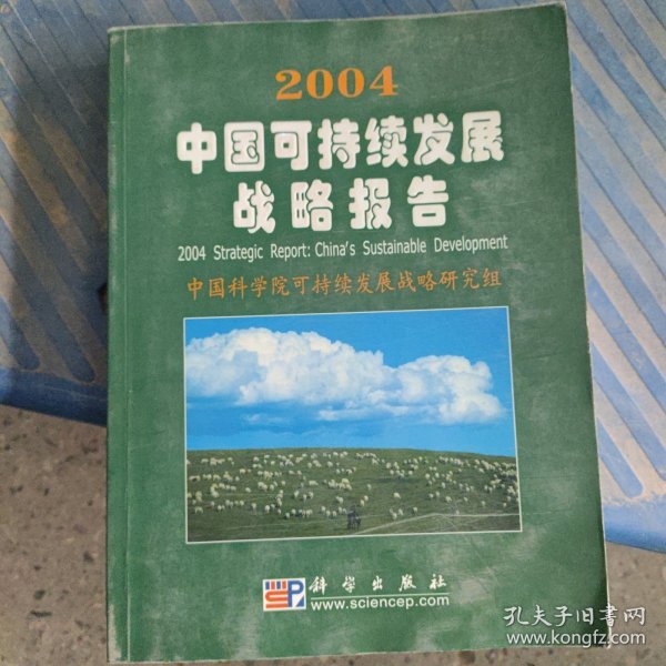 2004中国可持续发展战略报告