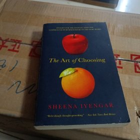 The Art of Choosing