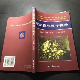 职业指导操作实录