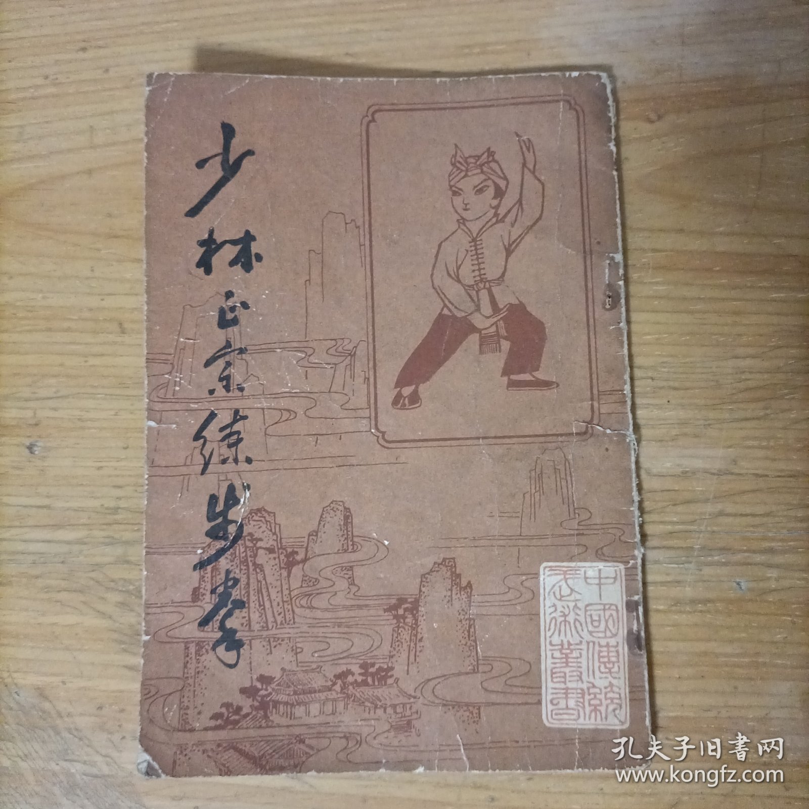 少林正宗练步拳