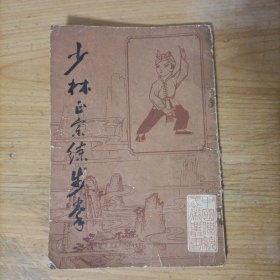 少林正宗练步拳