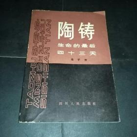 陶铸生命的后十三天(样本)