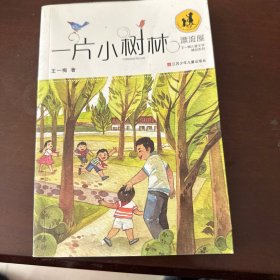 漂流屋·王一梅儿童文学精品系列：一片小树林