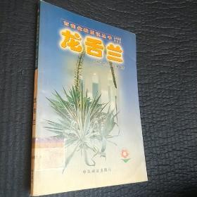 龙舌兰