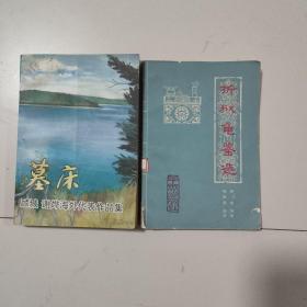 墓床 顾城 谢烨海外代表作品集＋折狱龟鉴选