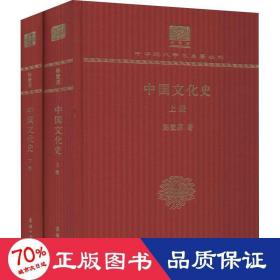 中国史(全2册) 中外文化 陈登原