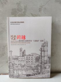 跨越：亲历者口述南京市“三联动”改革