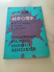 少年犯罪社会心理学..