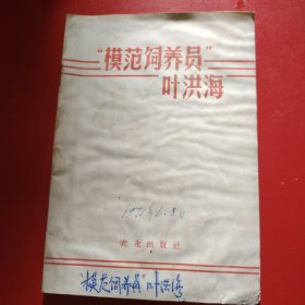 “模范饲养员”叶洪海 1971年