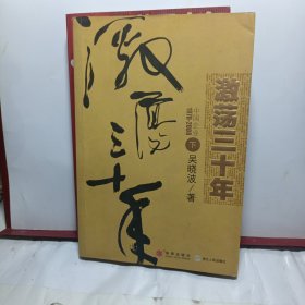 激荡三十年（下）：中国企业1978-2008