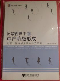 比较视野下的中产阶级形成：过程、影响以及社会经济后果