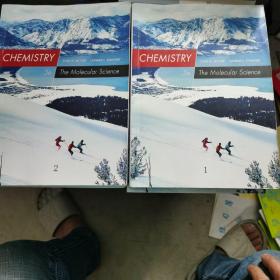 CHEMISTRY 5e The Molecular Science