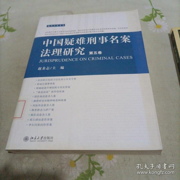 中国疑难刑事名案法理研究（第5卷）