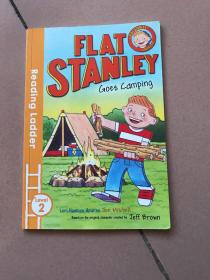 FLAT STANLEY Goes Camping