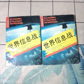 世界信息戰(zhàn)（上下冊）