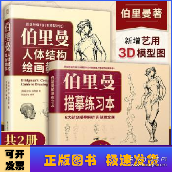 伯里曼人体结构绘画教学（赠:伯里曼描摹练习本）  3D模型对比素描基础教程 理解人体形态基础入门 人体结构造型手绘解剖技法书