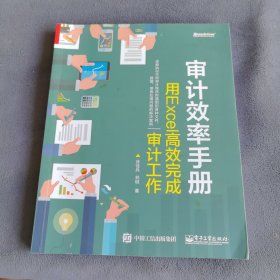 审计效率手册：用Excel高效完成审计工作