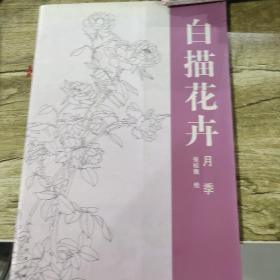 白描花卉：月季