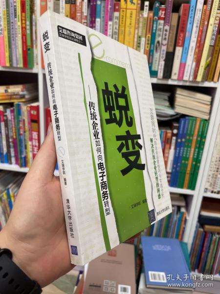 蜕变：传统企业如何向电子商务转型