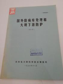 国外险病库处理和大坝下游防护