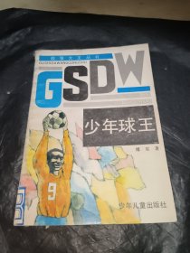 故事大王丛书第七辑少年球王