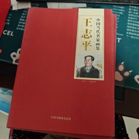 王志平中国当代名家画集