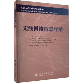无线网络信息年龄 网络技术 (美)孙引 新华正版
